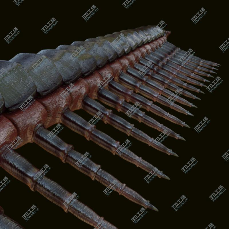 images/goods_img/202105073/3D Centipede/4.jpg